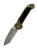 1136-12 APOD (1) copy.webp