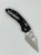 263.webp