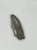 169-10 APNC (5).webp
