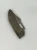 169-10 APNC (8).webp