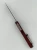 1242-10 APMR (2).webp