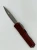 1242-10 APMR (1).webp